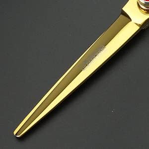 6 Inch Professional Hairdressing Scissors Set, Hair Clipper/Family Stainless Steel Hair Clipper (6 Inch Gold Set)