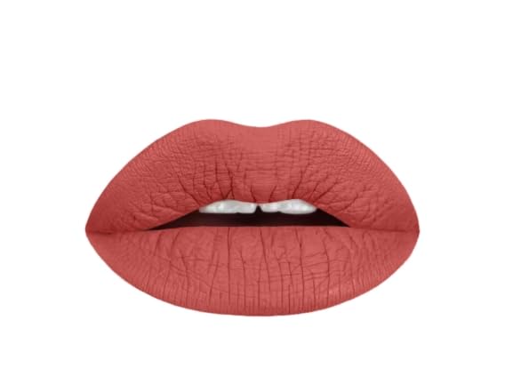 Aromi Ginger Spice Matte Liquid Lipstick | Nutmeg, Terra Cotta Lip Color, Vegan & Cruelty-free Beauty, Burnt Orange, Long-lasting Lipstick for Fall (Ginger Spice)