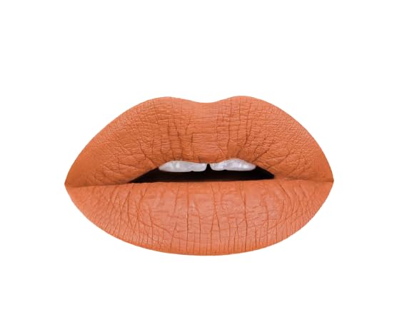 Aromi Matte Liquid Lipstick | Long-Lasting, Waterproof, Smear, Smudge + Transfer Proof, Nutmeg Orange Lip Color, Paraben, Phthalate, + Gluten Free (Burnt Pumpkin)