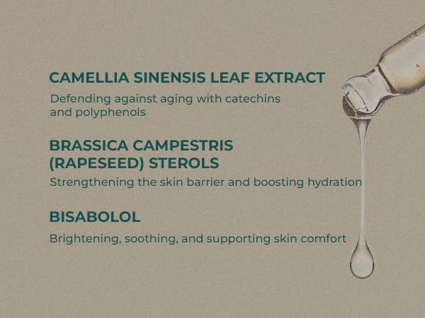 INNA ORGANIC Rejuvenating Lotion, Anti-aging, Wrinkle Care, Fine Lines & Tightening, EWG & COSMOS Certified | Frankincense Essential Oils Infused Skin Care | Luxury Clean Beauty
