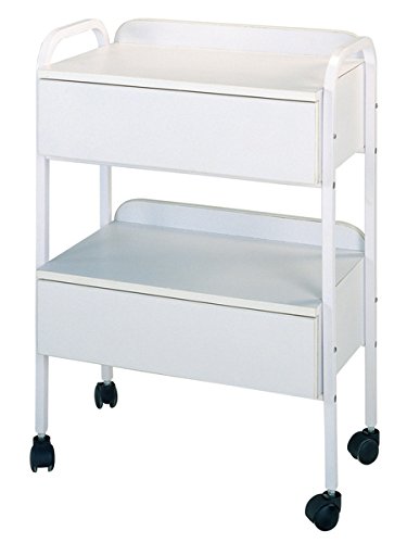 Buy-Rite Silver Skin Care Spa Package - 10-in-1 Professional Skin Care Machine, Hydraulic Facial Bed, White Rolling Stool & Utility Cart - Complete Esthetician Setup, BR-SILVERSKINCARE