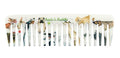 Rock & Ruddle Wide Tooth Comb | Perfect for Detangling Wet Hair and Applying Hair Color - Darling Dogs