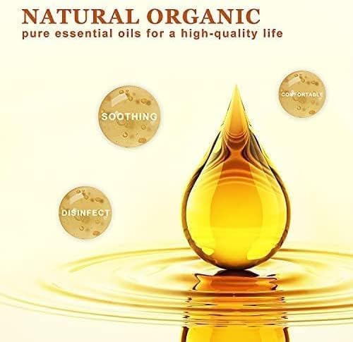 Basil Essential Oil, Basil Oil for Diffuser Humidifier Yoga Cleaning DIY Candle Soap Making Essential Oils 2 Pack x10ml