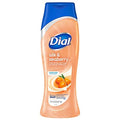 Dial Body Wash, Pamper & Indulge, Silk & Seaberry, 16 fl oz, Pack of 9