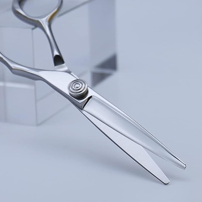 AOLANDUO Professional Shears for Hair Cutting, VG10 Steel Scissors to Cut Hair Professional, Precision Barber & Hair Stylist Shears, Ergonomic, 1 Count, 5.5 Inch