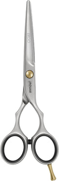 Jaguar Hairdressing Shears Pre Style Ergo 6.0 Inch Professional Stainless Steel Hair Cutting & Trimming Scissors for Salon Stylists and Barbers, Satin Finish Look, Classic Design, Made in Germany