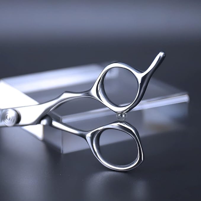 AOLANDUO Professional Shears for Hair Cutting, VG10 Steel Scissors to Cut Hair Professional, Precision Barber & Hair Stylist Shears, Ergonomic, 1 Count, 5.5 Inch