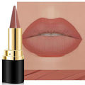 evpct Light Brown Gradient Matte Lipstick Lip Liner Crayon Combo Pencil Set for Women Long Lasting Waterproof, Nude Brown Matte Cream Lip Liner and Lipstick Combo Makeup, Flawless Gradual Ombre Effect