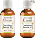 Greenwood Essential Pure Calamus Essential Oil (Acorus Calamus) Steam Distilled (Pack of Two) 15ml X 2 (1 oz)