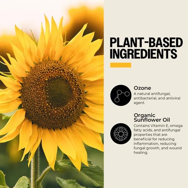PurO3 Ozonated Sunflower Oil – Pure, Natural, Organic Skincare for Face & Body – Oxygenated Healing Lotion, Moisturizer & Beauty Cream in a Glass Jar – O3 Therapy Salve, 2 oz