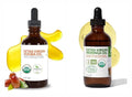 Organic Moringa & Jojoba Oil Bundle – 100% Pure, Cold Pressed, Extra Virgin, Food Grade Oils for Face, Hair & Body – Deep Moisturizing, Anti-Aging & Nourishing Skin Care Duo (2 x 4oz Bottles)
