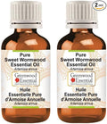 Greenwood Essential Pure Sweet Wormwood Essential Oil (Artemisia annua) Steam Distilled (Pack of Two) 50ml X 2 (3.38 oz)