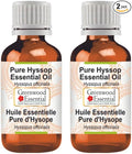 Greenwood Essential Pure Hyssop Essential Oil (Hyssopus officinalis) Steam Distilled (Pack of Two) 5ml X 2 (0.33 oz)