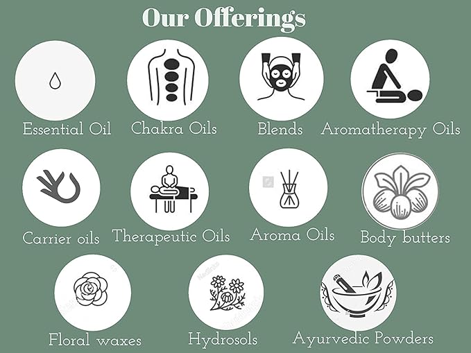 Greenwood Essential Pure Vanilla Essential Oil (Vanilla planifolia) Steam Distilled (Pack of Three) 100ml X 3 (10.1oz)