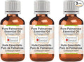 Greenwood Essential Pure Palmarosa Essential Oil (Cymbopogon martinii) Steam Distilled (Pack of Three) 100ml X 3 (10.1oz)