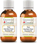 Greenwood Essential Pure Holy Basil Essential Oil (Ocimum Sanctum) Steam Distilled (Pack of Two) 100ml X 2 (6.76 oz)