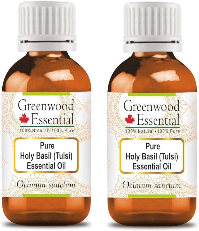Greenwood Essential Pure Holy Basil Essential Oil (Ocimum Sanctum) Steam Distilled (Pack of Two) 100ml X 2 (6.76 oz)