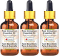 Greenwood Essential Pure Cinnamon Essential Oil (Cinnamomum zeylanicum) with Glass Dropper Steam Distilled (Pack of Three) 100ml X 3 (10.1oz)