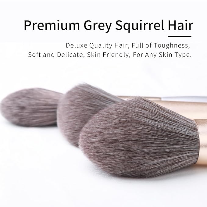 Natural Hair Makeup Brushes Set Professional, Grey Squirrel Hair Makeup Brush Set with Case, Unique Cosmetic Brushes Makeup Set, Natural Makeup Brushes, Natural Bristle Makeup Brushes -Silver
