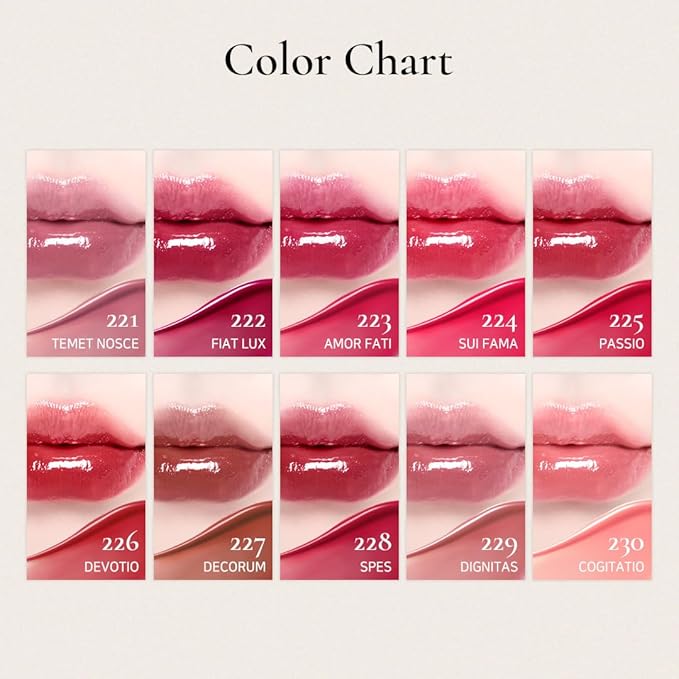 DINTO Blur-Glowy Lip Tint (230 Cōgitātiō)
