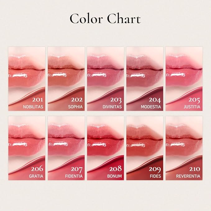 DINTO Blur-Glowy Lip Tint - Glossy Finish, Hydrating, Long Lasting, Lightweight Texture, Non-Sticky, Vegan & Cruelty-Free, K beauty (205 Justitia, 0.11 fl.oz)
