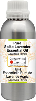 Greenwood Essential Pure Spike Lavender Essential Oil (Lavandula latifolia) Steam Distilled 300ml (10.1 oz)