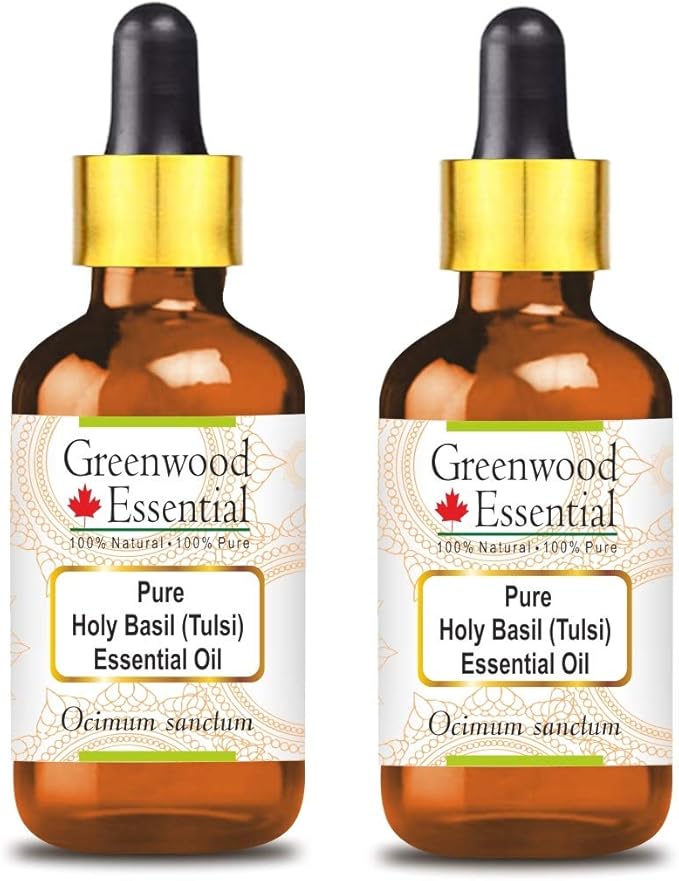 Greenwood Essential Pure Holy Basil Essential Oil (Ocimum Sanctum) with Glass Dropper Steam Distilled (Pack of Two) 100ml X 2 (6.76 oz)