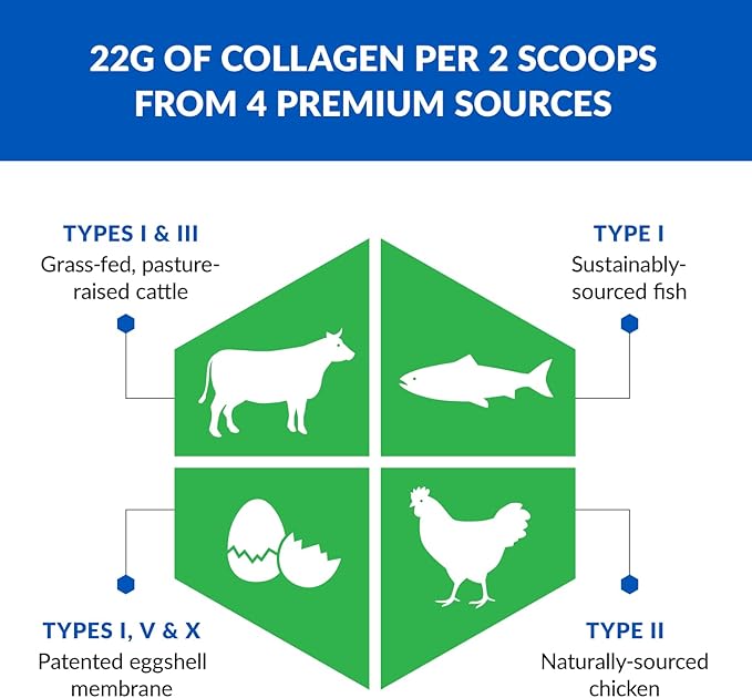 BioTrust Ageless Multi Collagen Peptides Powder – 5 Types (I, II, III, V, X) – Chocolate Collagen Powder for Women & Men – Hydrolyzed Protein – Grass Fed Beef, Fish, Chicken, Eggshell Membrane