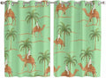 2 Panel Kitchen Cafe Curtains, Desert Camels Sunlight Filtering Nature Air by Hokiten