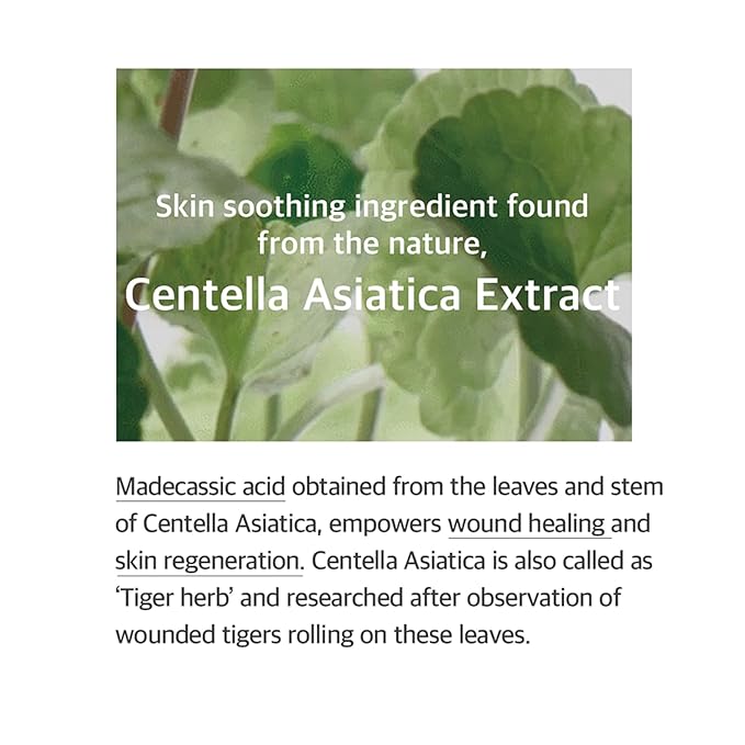 mixsoon Soondy Centella Asiatica Essence Instant Hydrating & Soothing Essence for Irritated, Sensitive Skin for Korean Skincare For Glass Skin-Jeju Island Cica Extracts (3.38 fl.oz / 100ml)