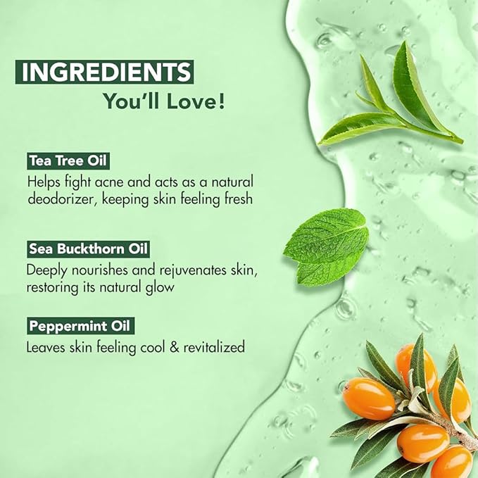 Botanic Hearth Tea Tree Body Wash (Pack of 2) for Men and Women - Moisturizing Body Wash Helps Soothe the Skin - Refreshing and Hydrating Cleanser, Sulfate Free, Paraben Free - 16 Fl Oz each