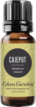Edens Garden Cajeput Essential Oil, 100% Pure Therapeutic Grade (Undiluted Natural/Homeopathic Aromatherapy Scented Essential Oil Singles) 10 ml