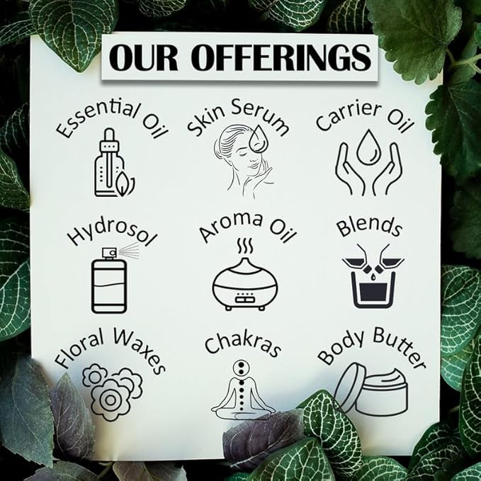 Greenwood Essential Pure Juniper Berry Essential Oil (Juniperus communis) Steam Distilled 300ml (10 oz)