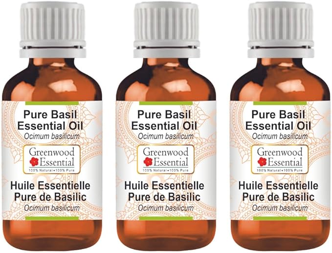 Greenwood Essential Pure Basil Essential Oil (Ocimum basilicum) Steam Distilled (Pack of Three) 100ml X 3 (10 oz)