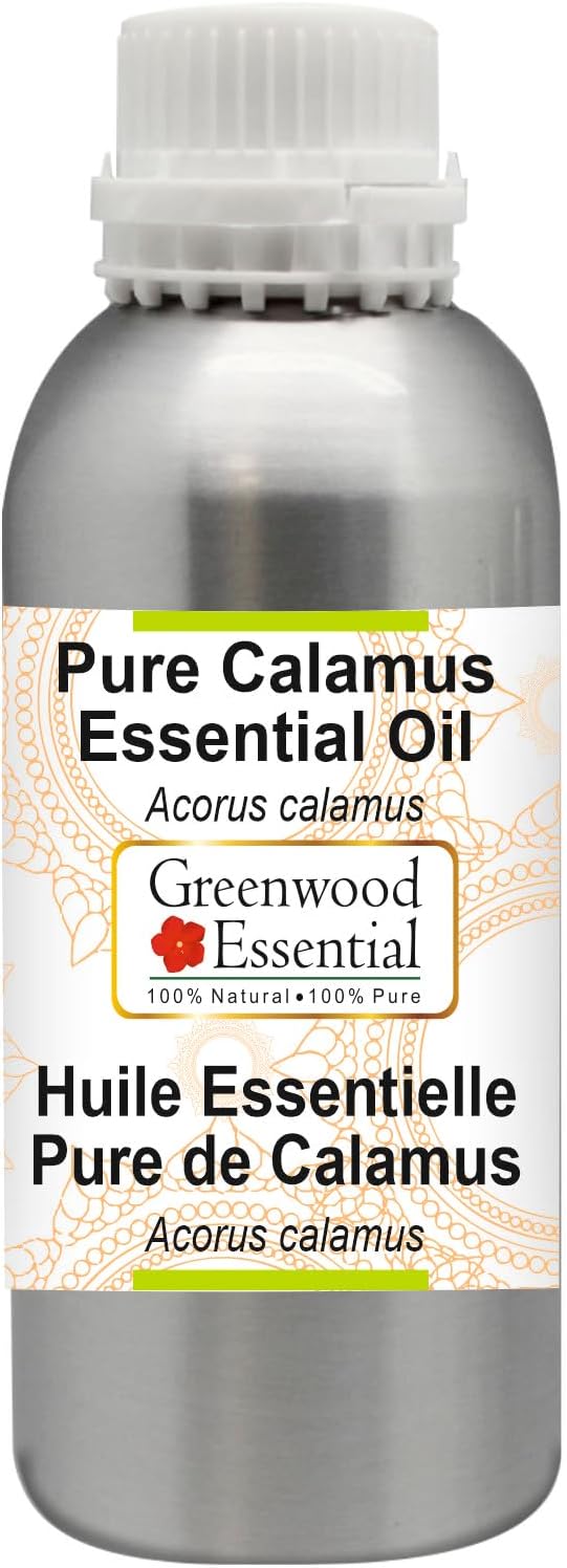 Greenwood Essential Pure Calamus Essential Oil (Acorus Calamus) Steam Distilled 630ml (21.3 oz)