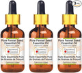 Greenwood Essential Pure Fennel Seed Essential Oil (Foeniculum vulgare) with Glass Dropper Steam Distilled (Pack of Three) 100ml X 3 (10.1oz)