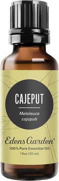 Edens Garden Cajeput Essential Oil- 100% Pure Premium Grade, Undiluted, Natural, Therapeutic, Aromatherapy, The Best for Diffuser, Skin, Hair, Humidifiers 30 ml (1 fl oz)
