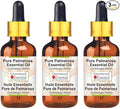Greenwood Essential Pure Palmarosa Essential Oil (Cymbopogon martinii) with Glass Dropper Steam Distilled (Pack of Three) 100ml X 3 (10.1oz)
