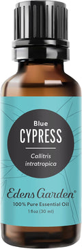 Edens Garden Cypress- Blue Essential Oil- 100% Pure Premium Grade, Undiluted, Natural, Therapeutic, Aromatherapy, The Best for Diffuser, Skin, Candle, Kid Safe 30 ml (1 fl oz)
