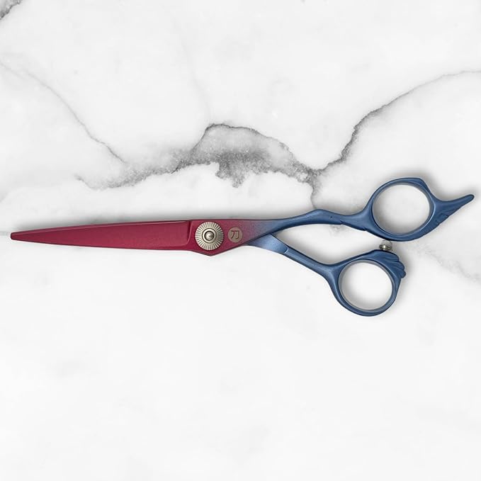 6 Inch Hair Shears Set - Rainbow Color Hair Cutting Scissors and Texturizing Shears - 440C Stainless Steel With Titanium Coating - Convex Blades for Wet or Dry Hair (Hair Cutting Shears)