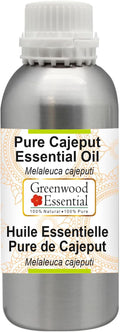Greenwood Essential Pure Cajeput Essential Oil (Melaleuca cajeputi) Steam Distilled 630ml (21.3 oz)
