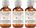 Greenwood Essential Pure Clementine Essential Oil (Citrus Clementina) Steam Distilled (Pack of Three) 100ml X 3 (10.1oz)