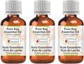 Greenwood Essential Pure Bay Essential Oil (Pimenta racemosa) Steam Distilled (Pack of Three) 100ml X 3 (10 oz)