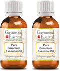 Greenwood Essential Pure Geranium Essential Oil (Pelargonium graveolens) Steam Distilled (Pack of Two) 100ml X 2 (6.76 oz)