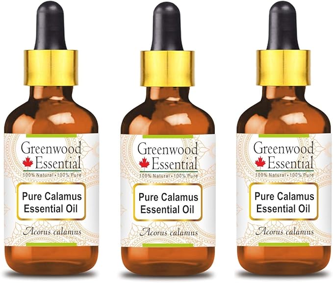 Greenwood Essential Pure Calamus Essential Oil (Acorus Calamus) with Glass Dropper Steam Distilled (Pack of Three) 100ml X 3 (10.1oz)