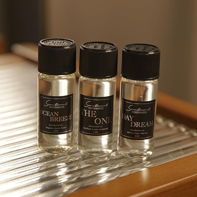 Scentiment Diffuser Oil - Sunshine State | Aromatherapy Home Fragrance | Inspired by Acqualina® Resort | Luxurious Scent with Notes of Bergamot, Ylang-ylang, Musk, Sandalwood, (120m) l