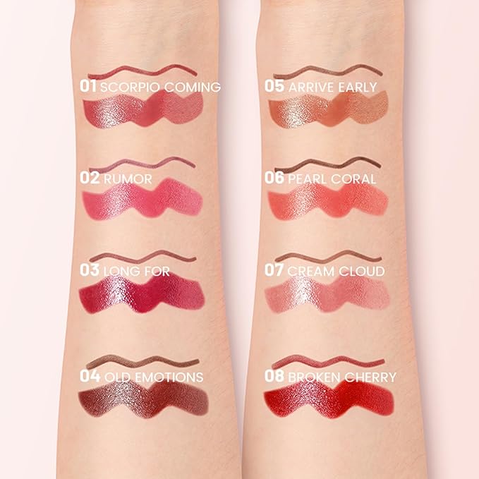 Erinde 2pcs Lip Liner and Lipstick Combo Set, Matte Lipliner Pencil & Hydrating Lip Gloss Makeup Kits for Women, Waterproof, Long Lasting, Highly Pigmented, Nude Brown Natural Lipstick, 01