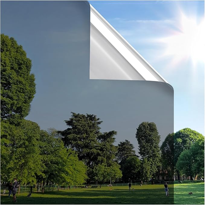 rabbitgoo Window Privacy Film One Way Window Tint for Home, Removable Reflective Heat Sun Blocking Anti UV Glass Door Covering, Mirror Tinting Film House Office, 29.5 in X 13.1 Feet, Black Silver