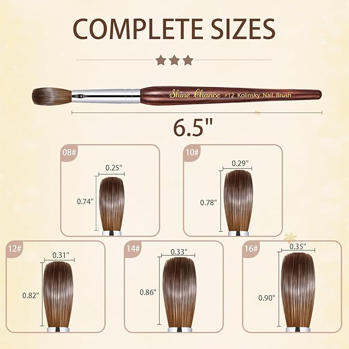 Acrylic Nail Art Brush - Size 10, Pure Kolinsky Hair Oval Nail Brush for Acrylic Application, Professional Nail Extension Manicure Tool Striping Pen for DIY Salon