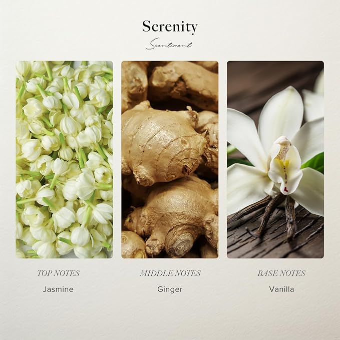 Scentiment Diffuers Oil - Serenity Hotel | Aromatherapy Home Fragrance | Inspired by Shangri-La Hotel® | Luxurious Scent with Notes of Jasmine, Ginger, Vanilla (20 mL)